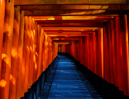 One Day Tour vs Multiple Day Tour in Japan: Which One Is Right for You?