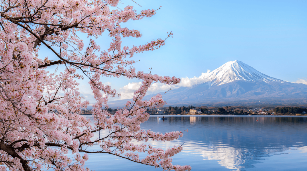 Tokyo – Mt Fuji Holiday 5H 4 (Private Car | Start Haneda | Min. 4 Orang)